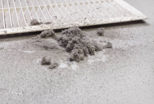 Best Affordable Duct Cleaning Services  in Warrenvle, IL