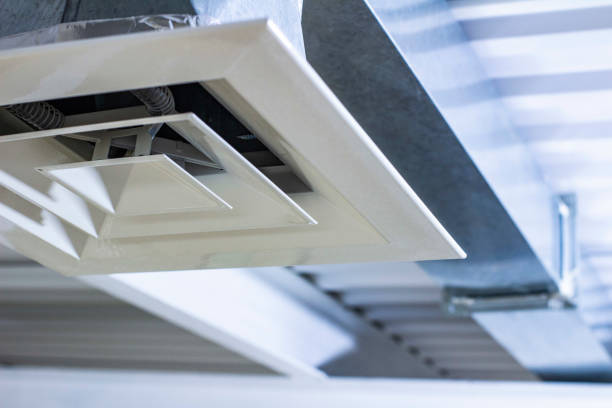 Best Home Air Vent Cleaning  in Warrenvle, IL