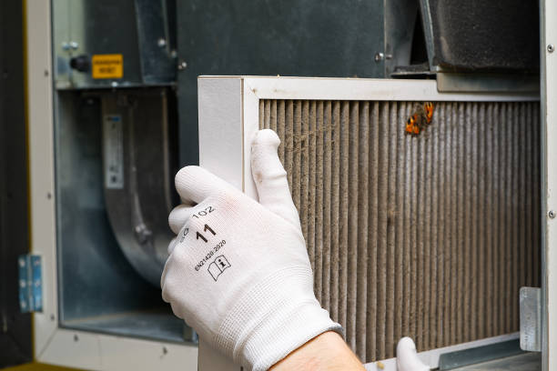 Best Affordable Air Duct Cleaning  in Warrenvle, IL